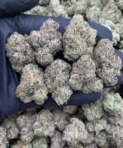 CHERRY GUMBO | EXOTIC (AAA+)