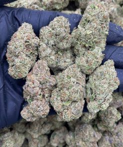 CHERRY SLUSHIE | INDOOR (AAA+)