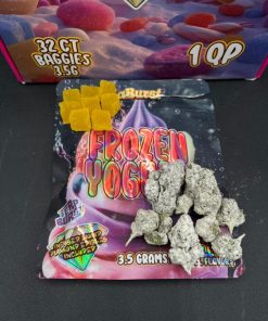 NUMBER 1 ZABURST X  TERP BURST VENDOR